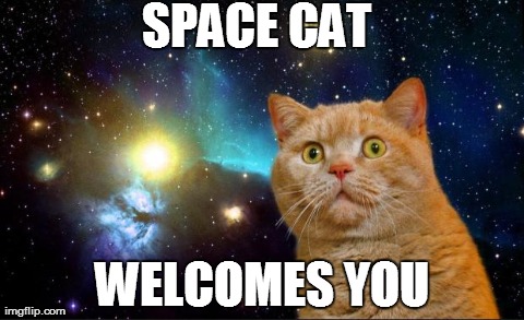 File:Spacecat.jpg