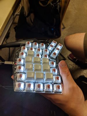 ErgoDask Assembled Switches LEDs and some Keycaps.jpg
