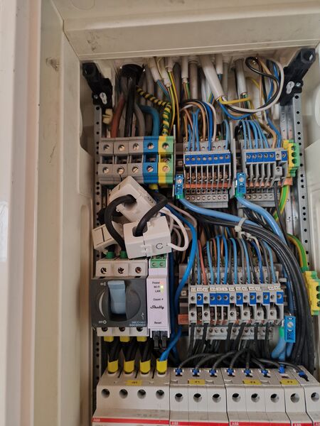 File:Shelly Installation2.jpg
